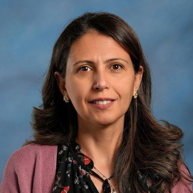 DinaSand's Profile Photo