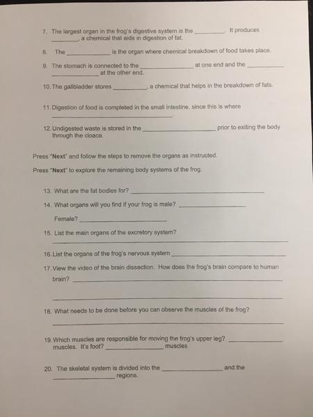 virtual frog pg 2.JPG