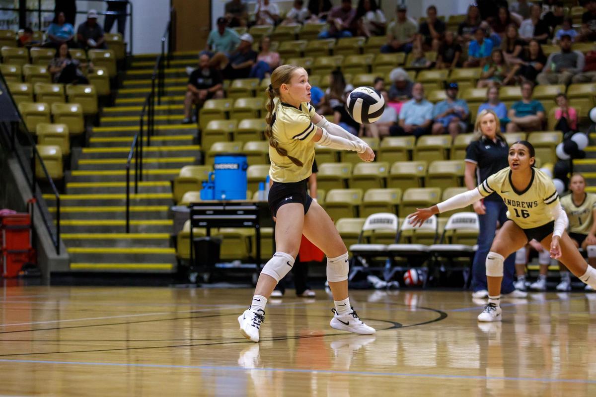 AHS Volleyball