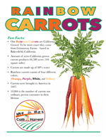 Rainbow Carrots