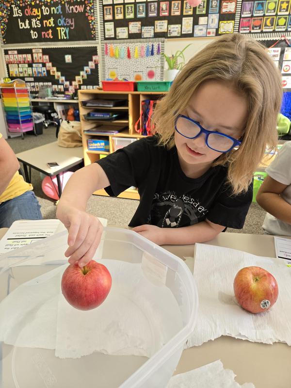 Students help find the prized apple