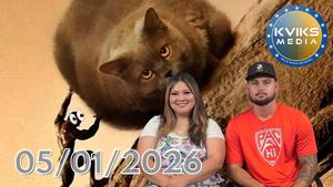 Thumbnail News Bulletin.jpg