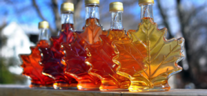 Five maple syrup bottles shaped like leaves, displaying various amber hues.