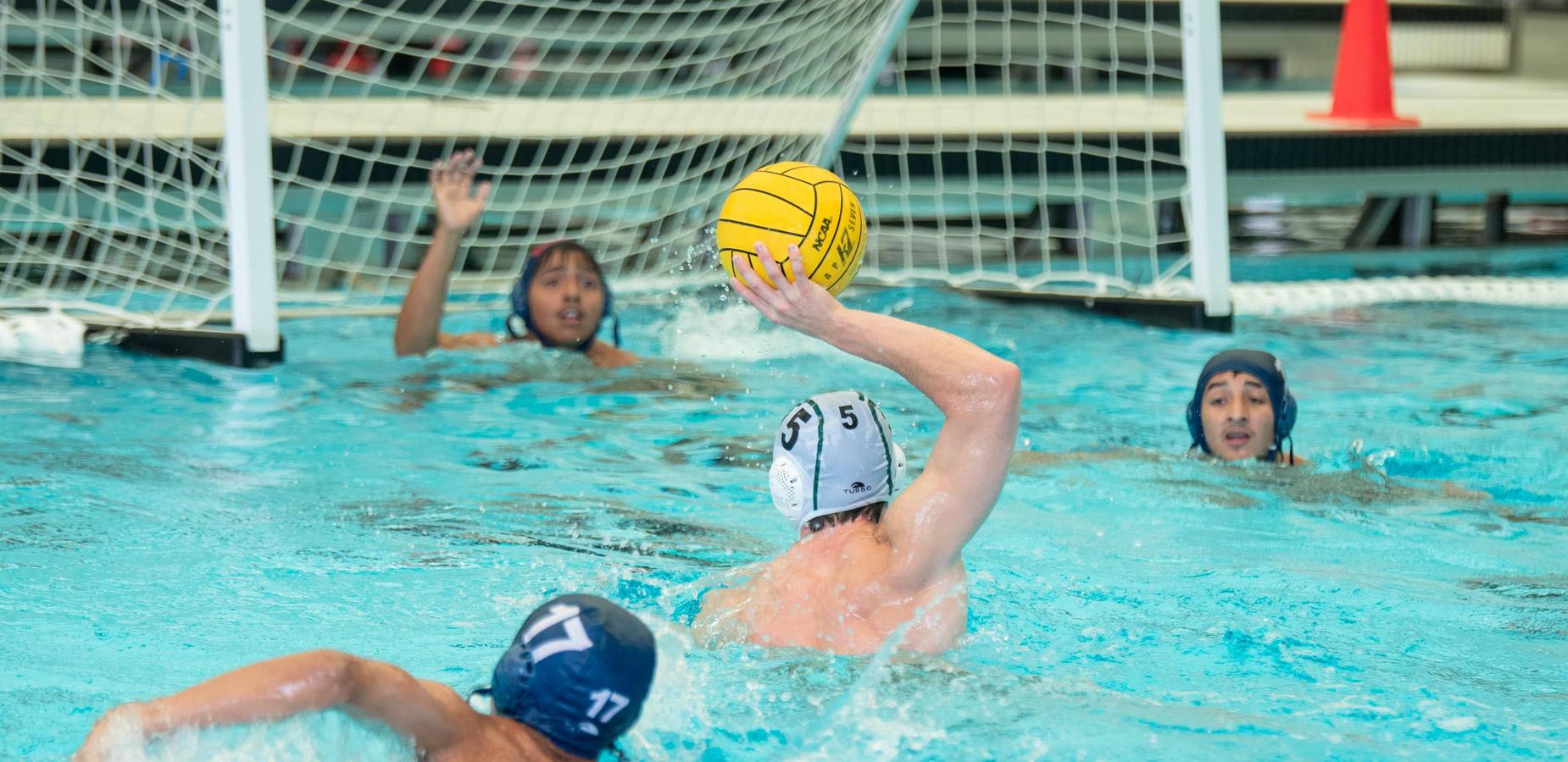 Water polo players compete in a pool, one preparing to throw a ball.
