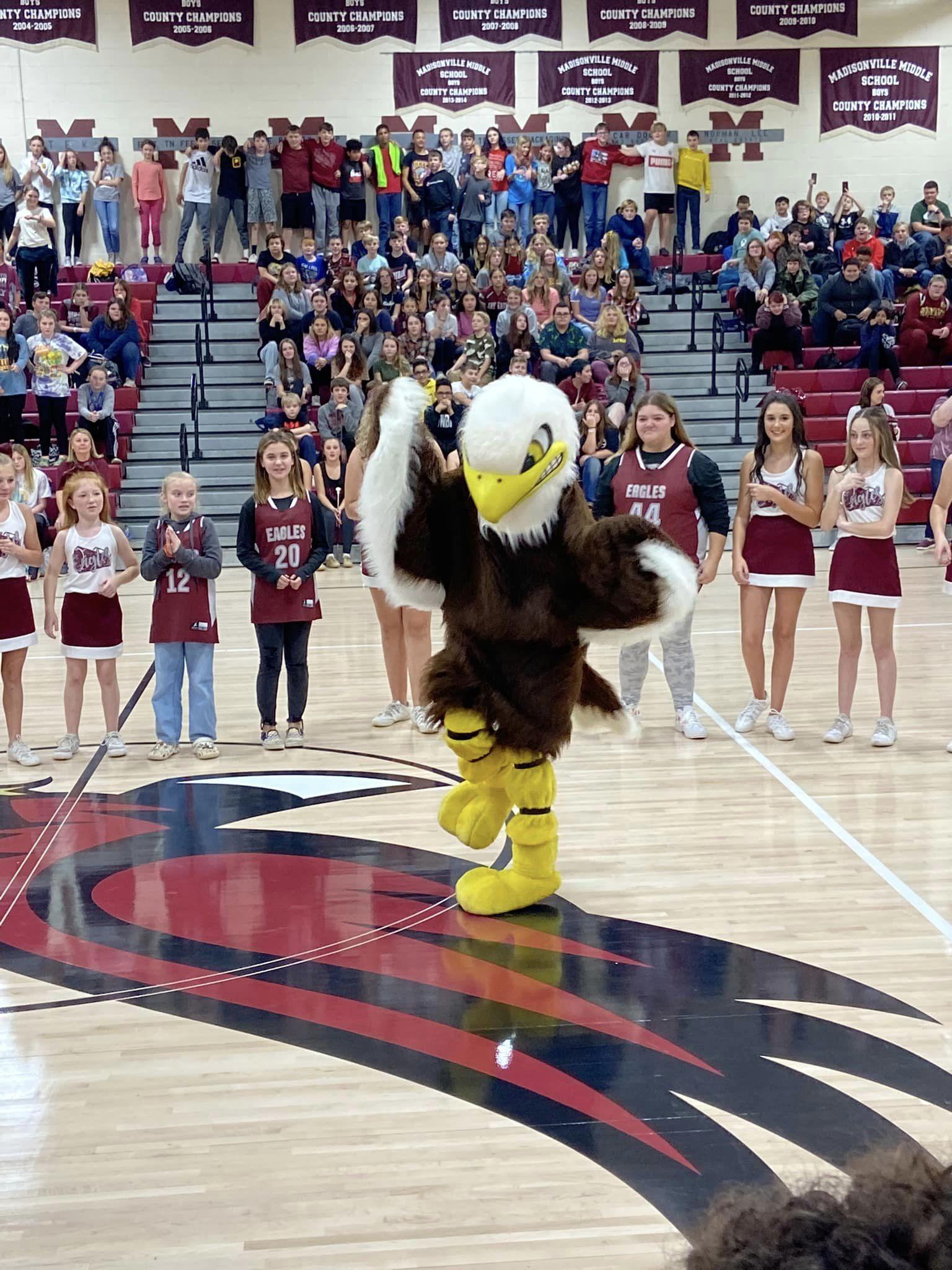 Meet Talon... Our Eagle Mascot! Eagles Cheerleading Madisonville