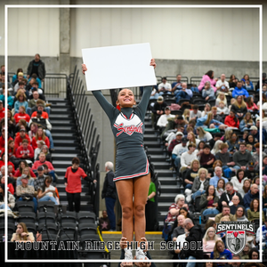 SENTINEL SPIRIT SHINES AT THE STATE CHAMPIONSHIPS