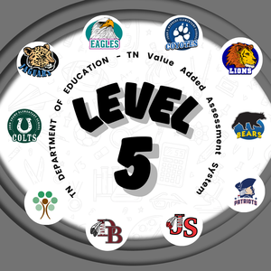 Level 5 District/Schools graphic