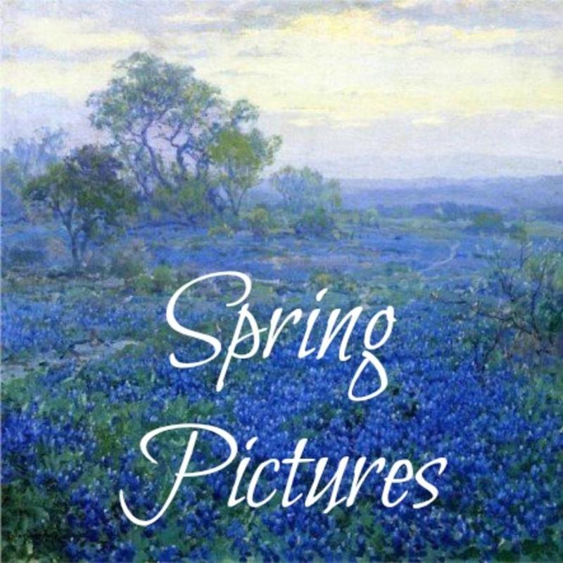 Spring Picture Day 4/16/26 Featured Photo