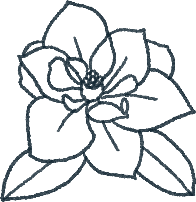 Magnolia Flower