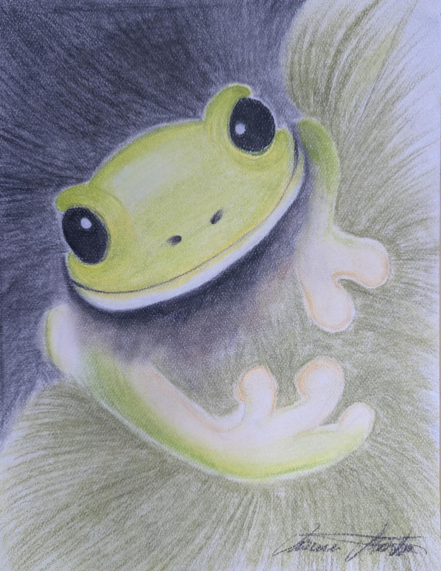 Colored pencil frog