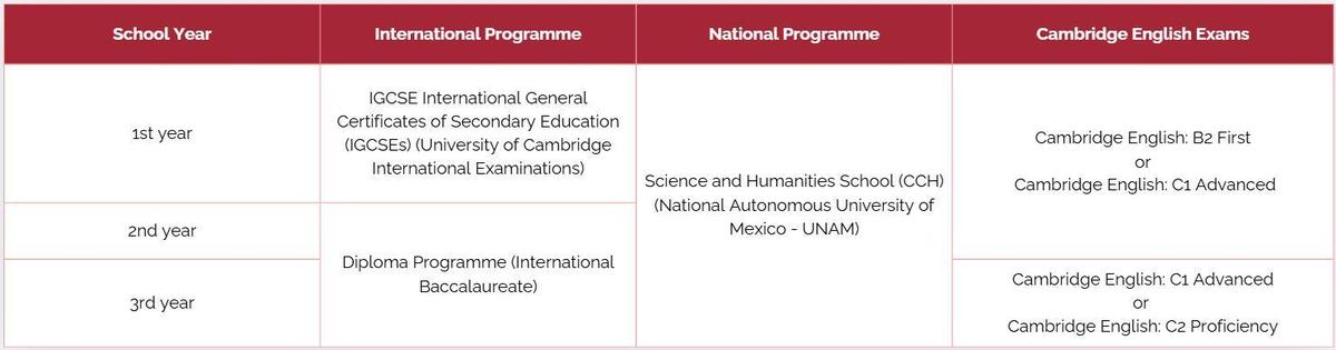 College international programmes in, unam, cambridge