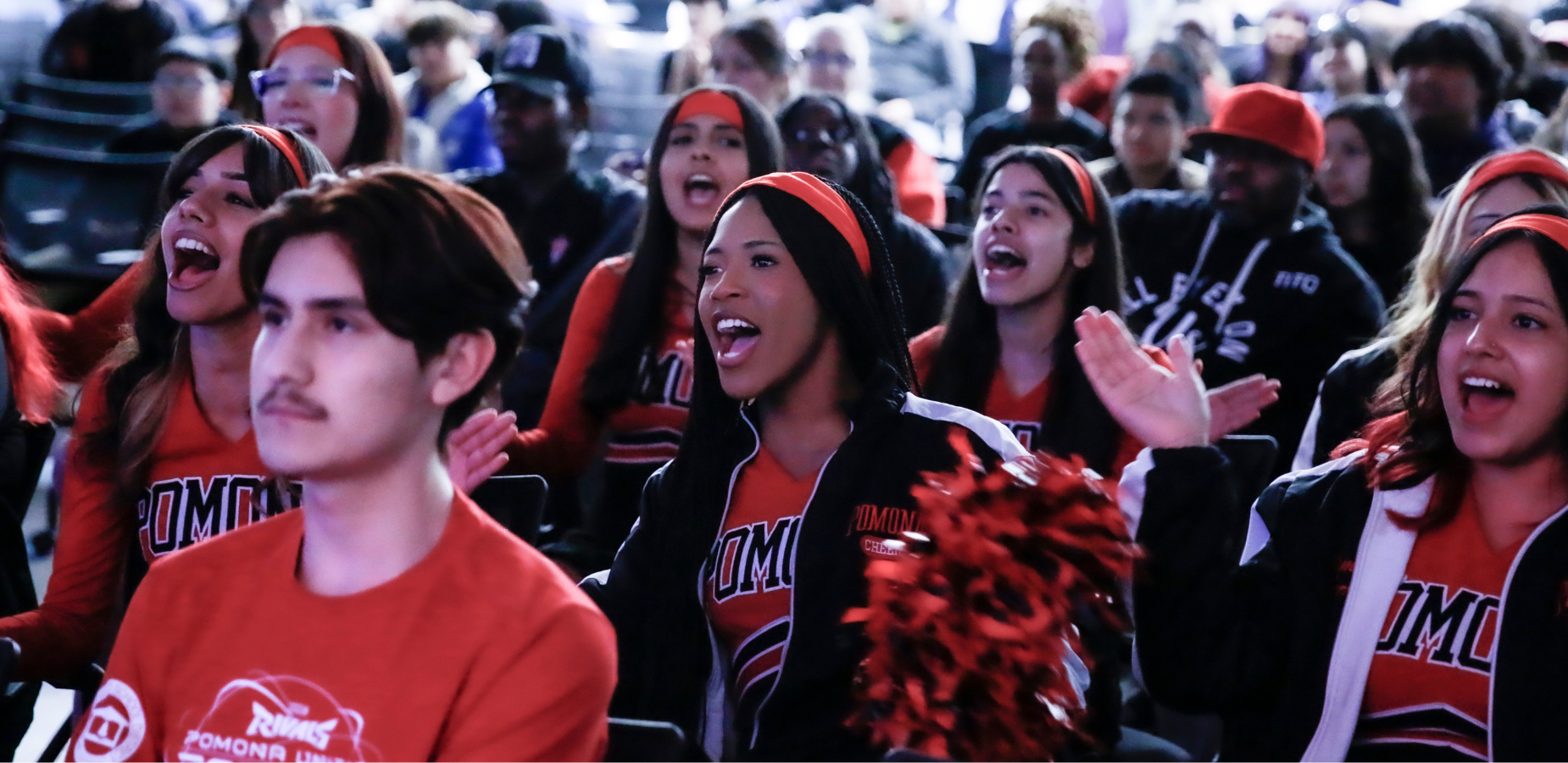 Steam showcase - image for web