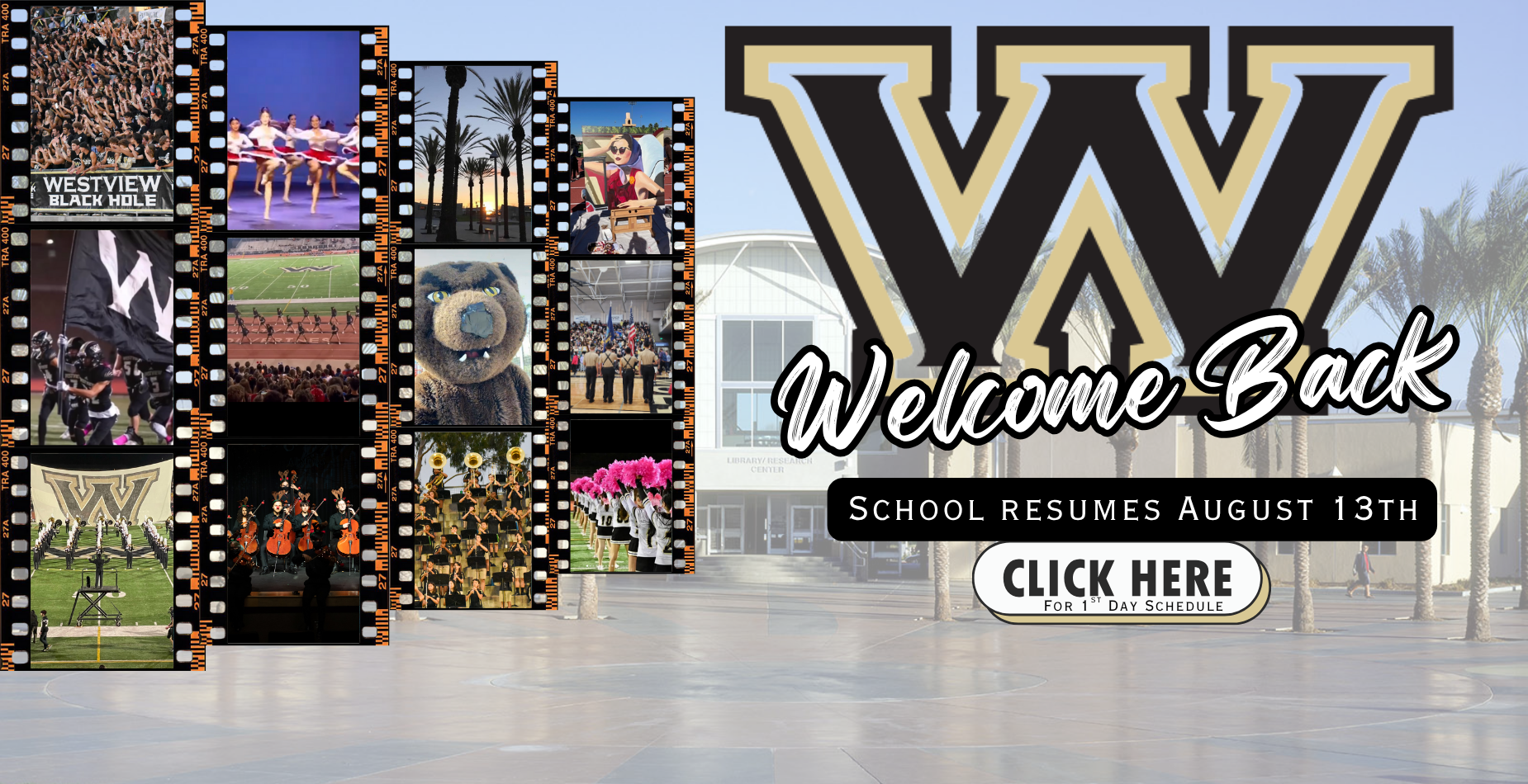 Welcome Back