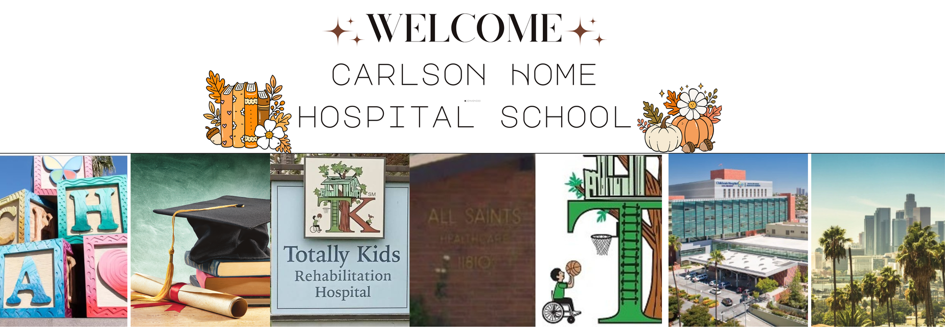 Carlson Home Hospital School Banner