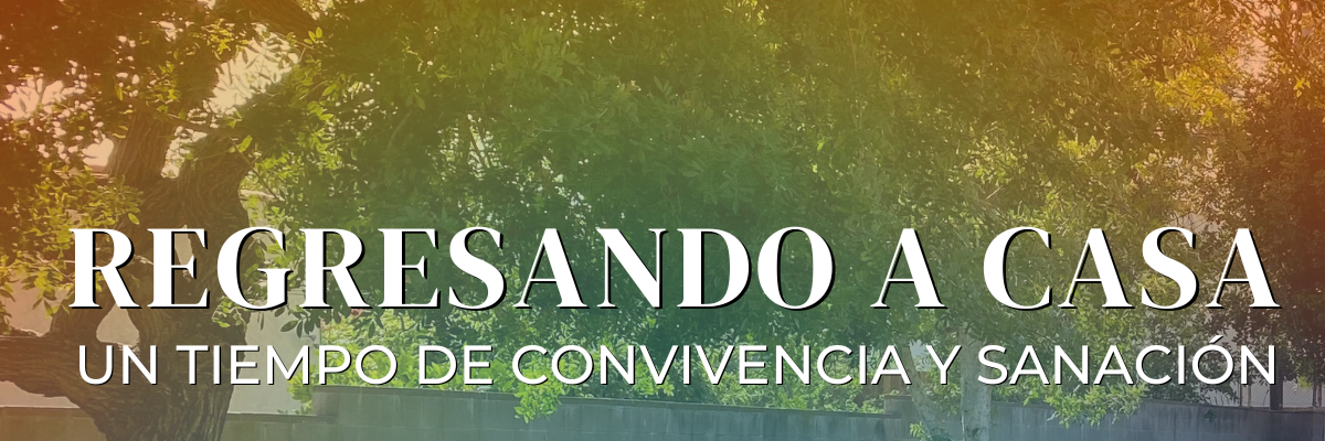 Coming home graphic spanish