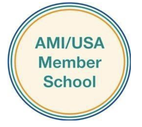 AMI/USA logo