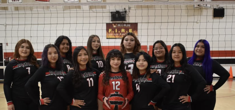 scholars from pomona high school's volleyball team pose for team photo