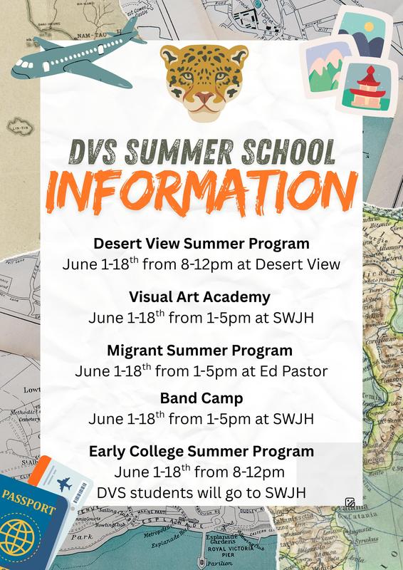 DVS Summer School Information