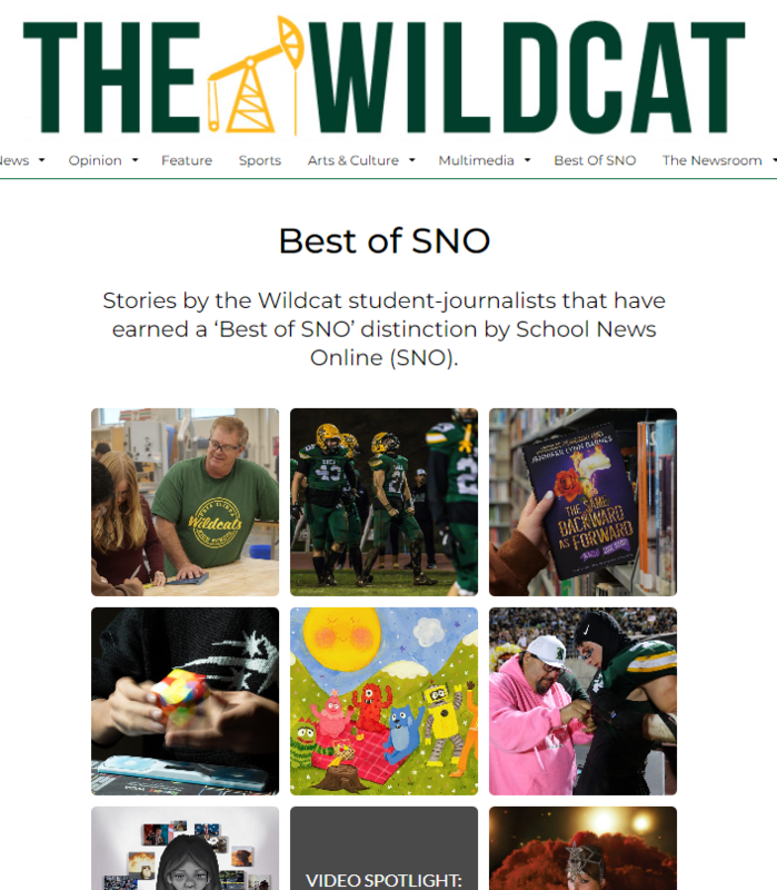 screenshot of The Wildcat website