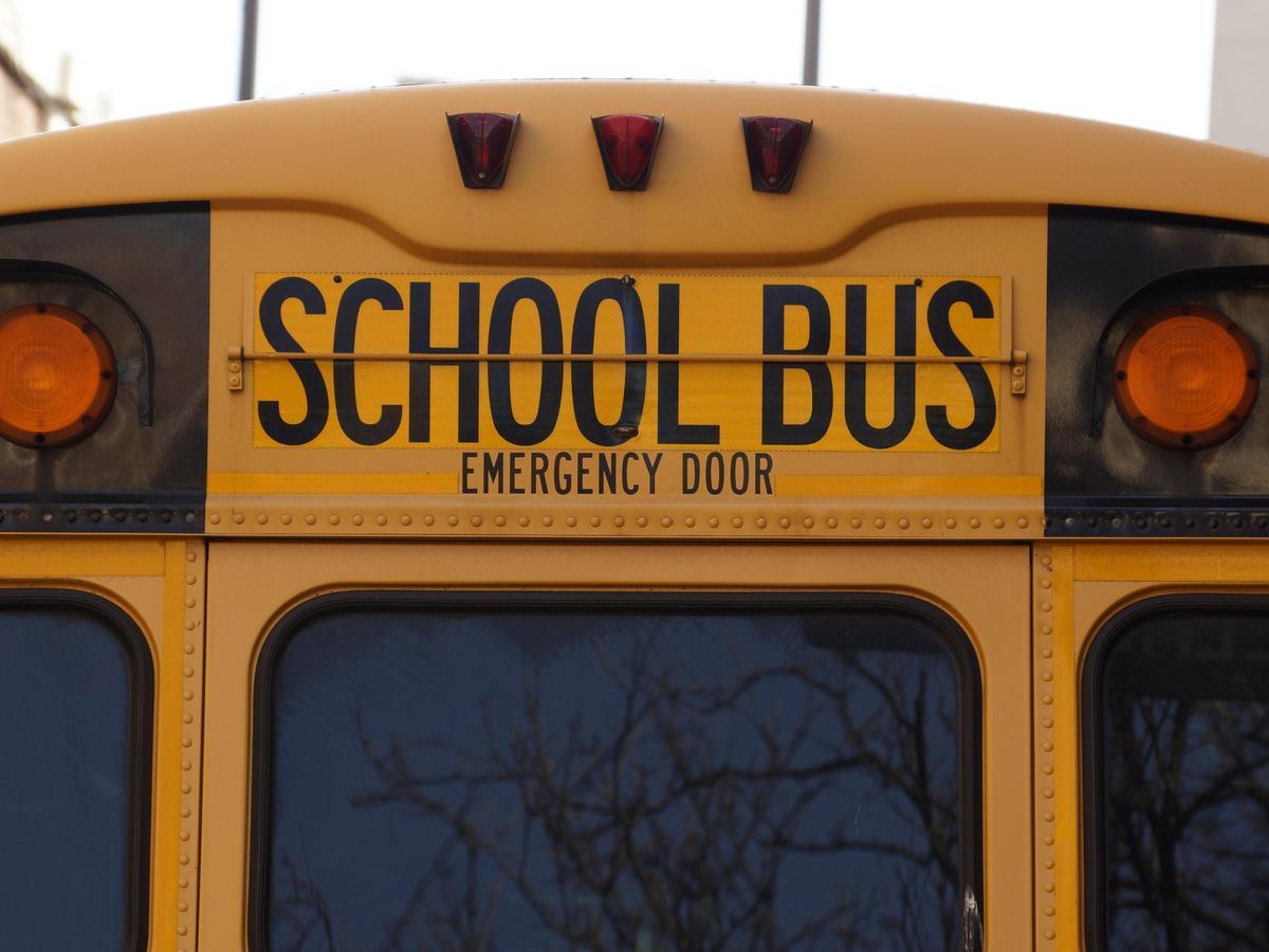 Rear view of a school bus with 'SCHOOL BUS' sign prominently displayed.