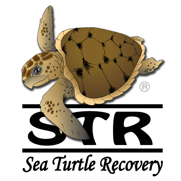 STR: Sea Turtle Recovery