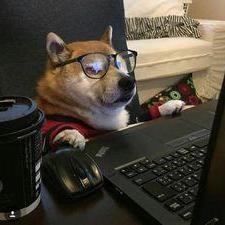 GEOVANNIMEMBRENO's Profile Photo