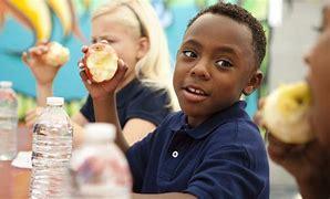 Boy eating apple during lunch time
