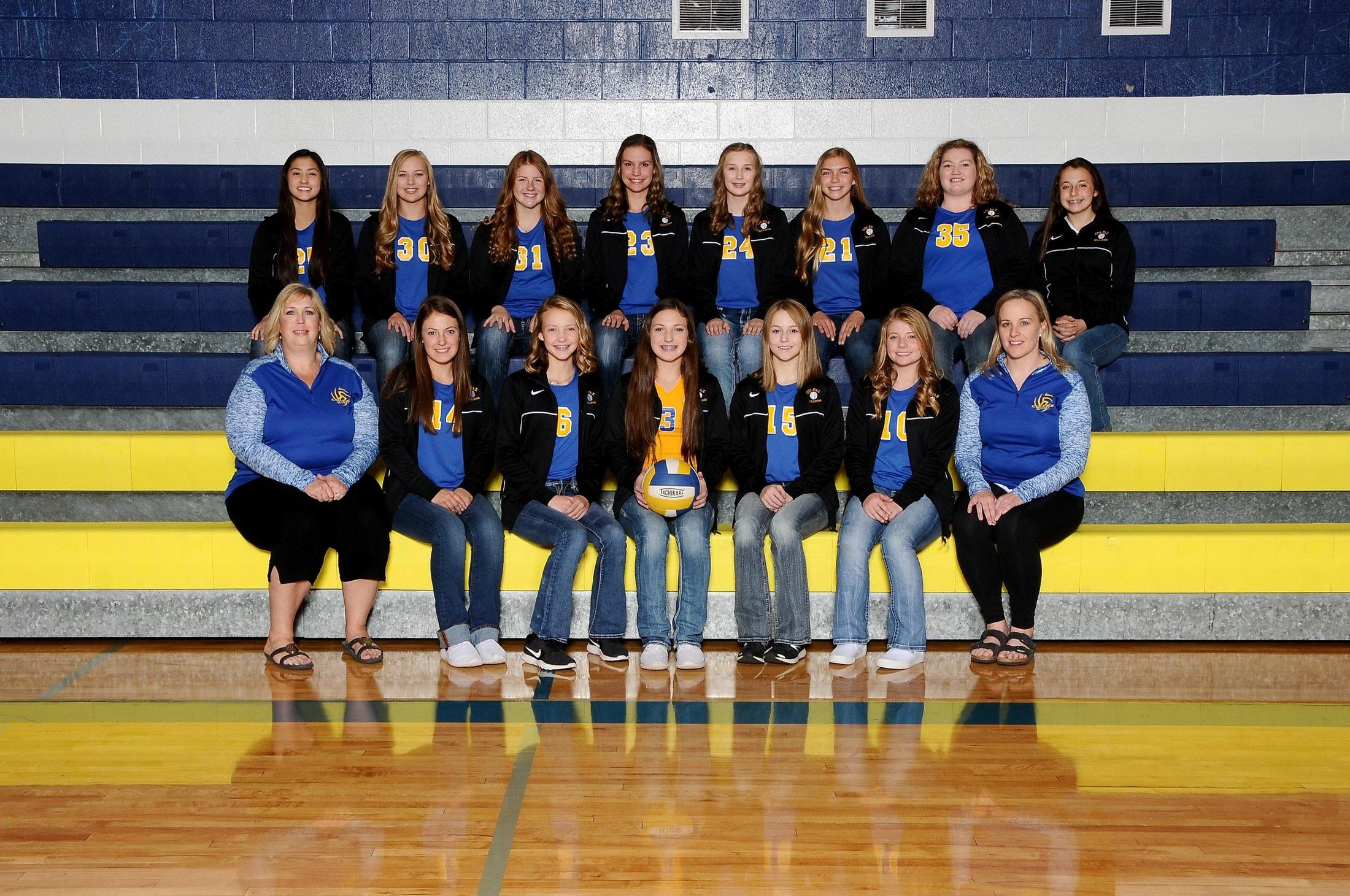 Colfax Bulldog Volleyball Volleyball Colfax School District