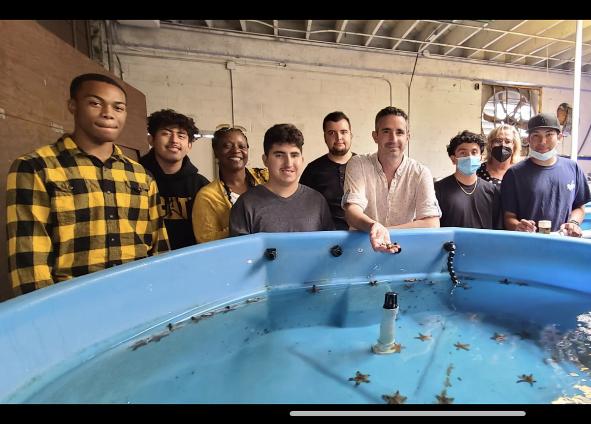 Blue Lab – Vocational Programs – Ernest P Willenberg Special Education ...