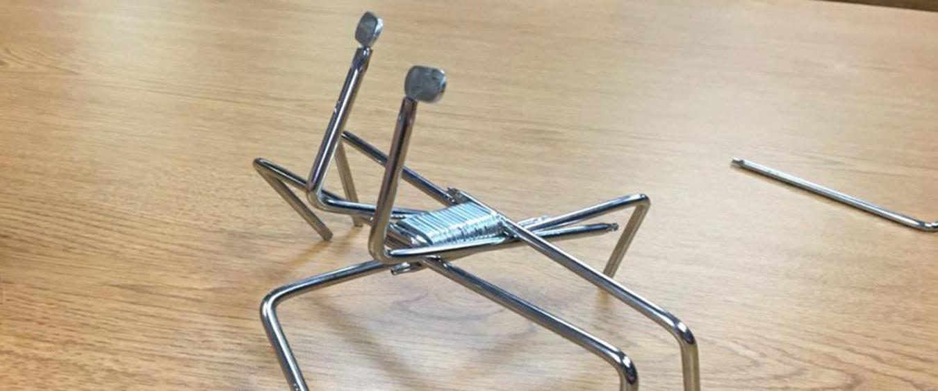 Computer Bug