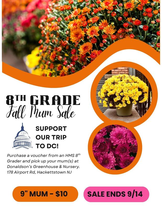 FALL MUM SALE Featured Photo