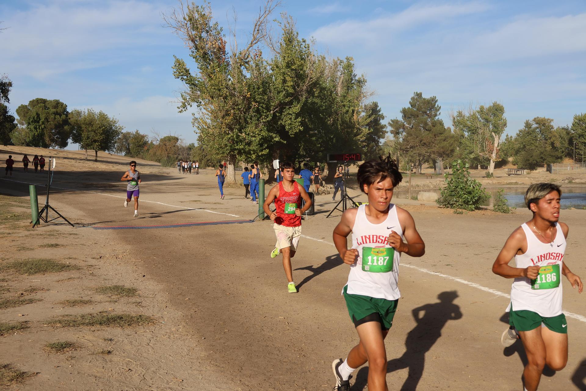 cross country runners in action