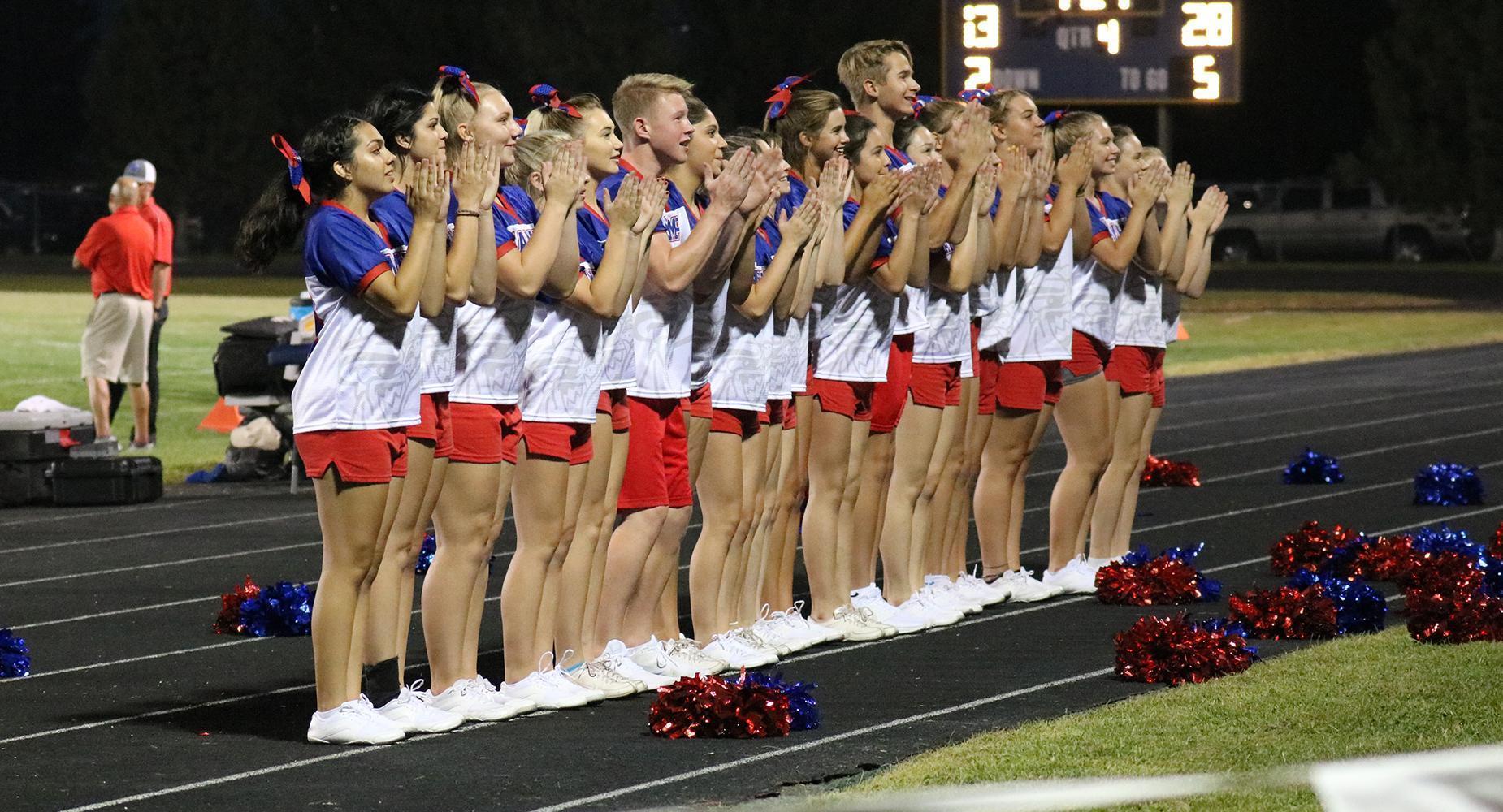 NHS Cheerleader