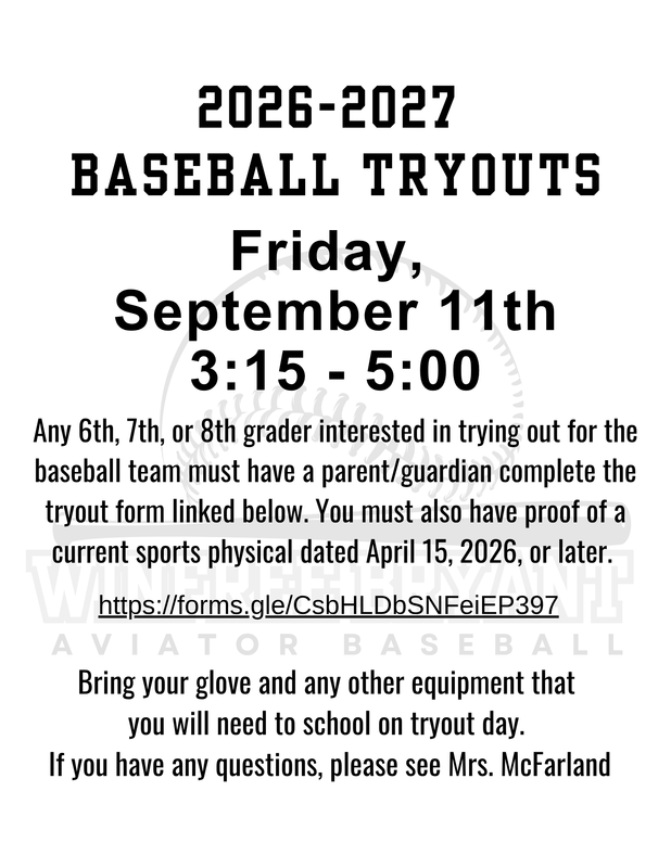 Baseball Flyer