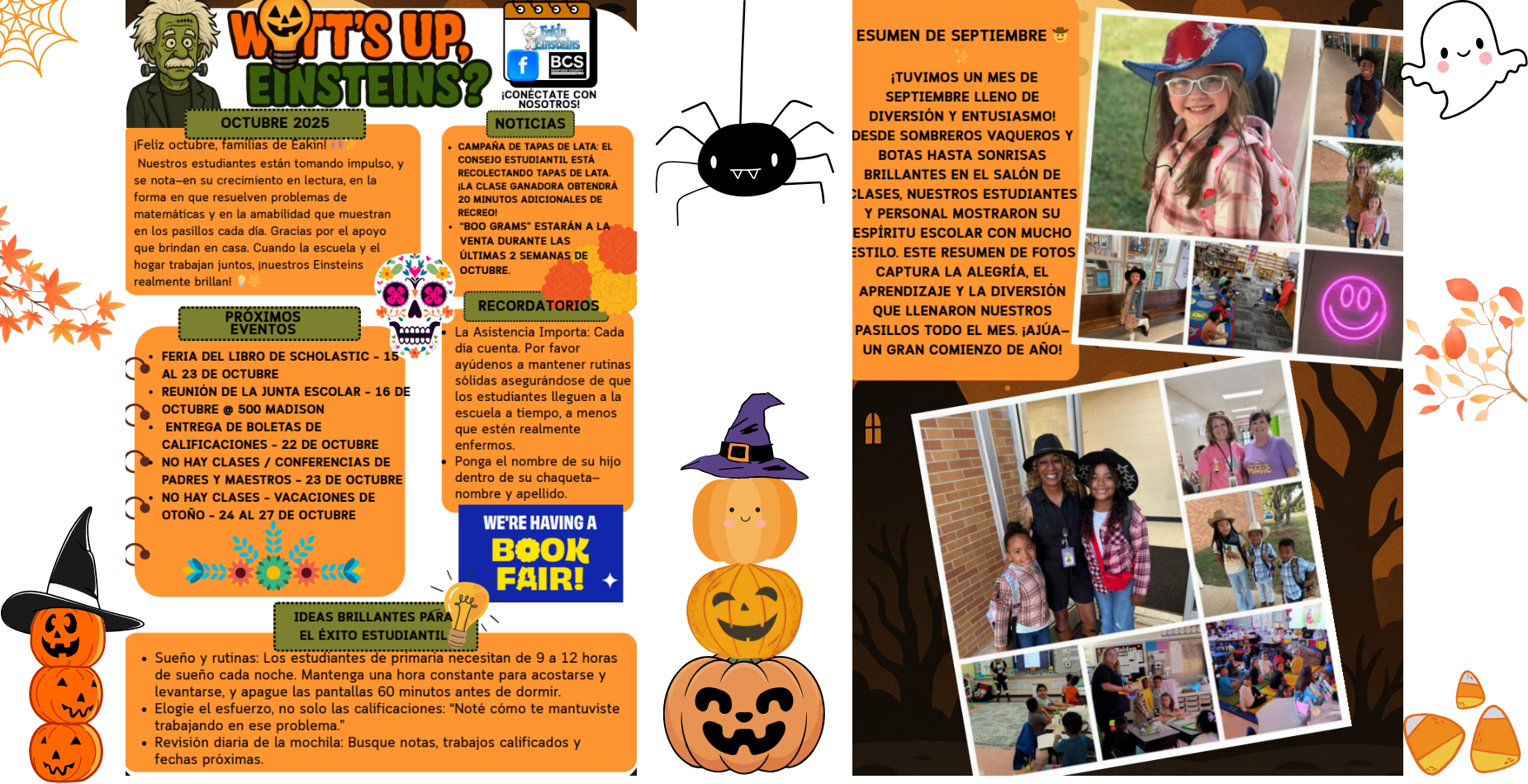 newsletter