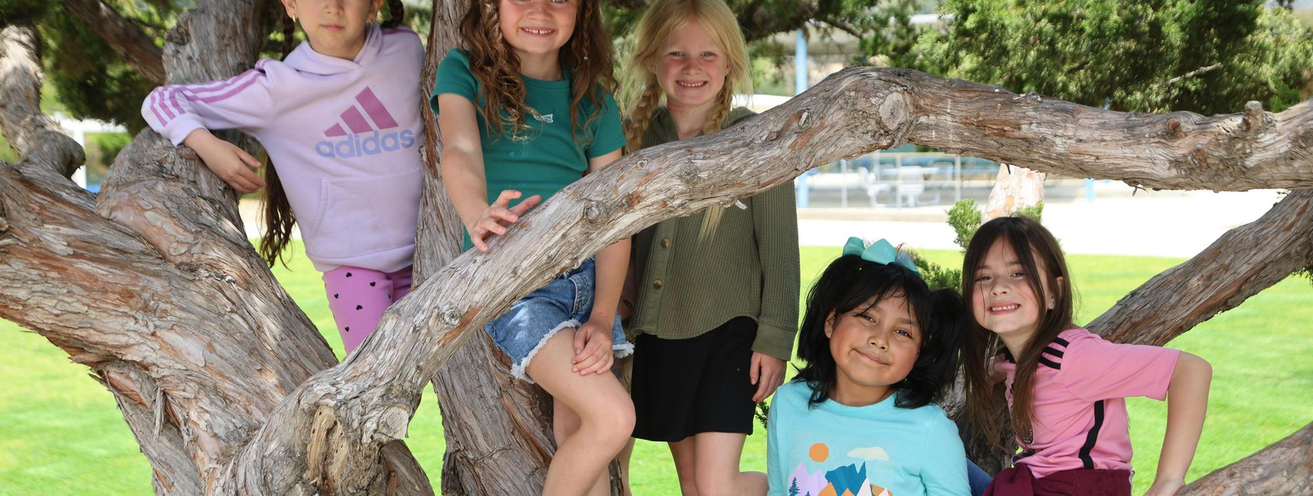 Five children posing together on a tree branch in a sunny park setting.