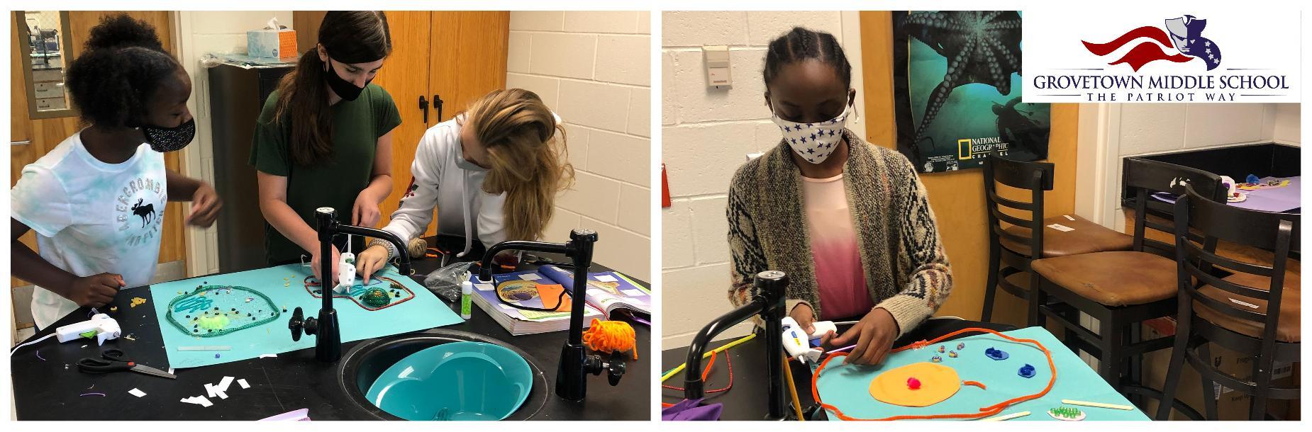 Cell Models