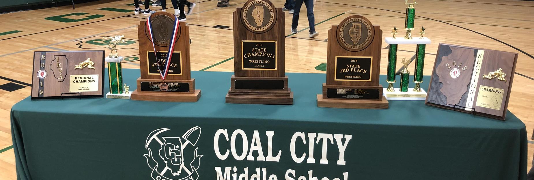 A great year for hardware at CCMS
