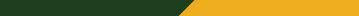 solid line divider