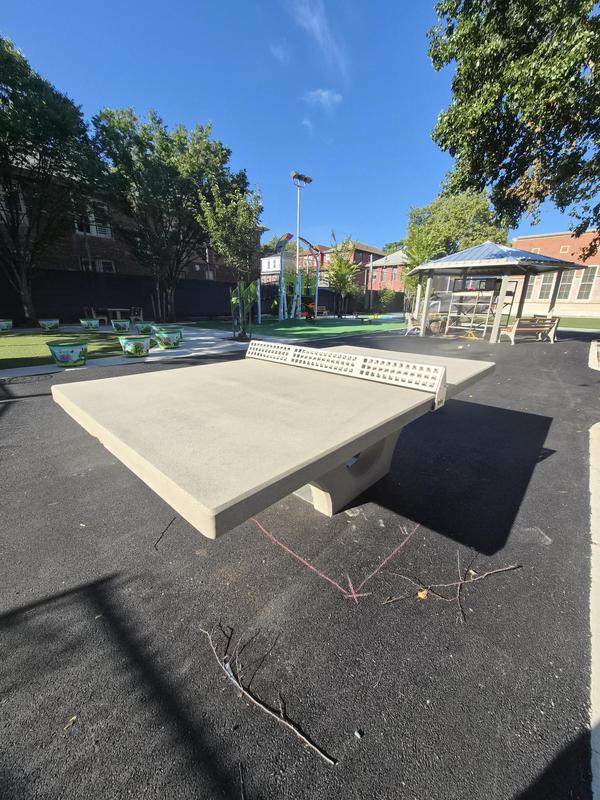 outdoor table tennis
