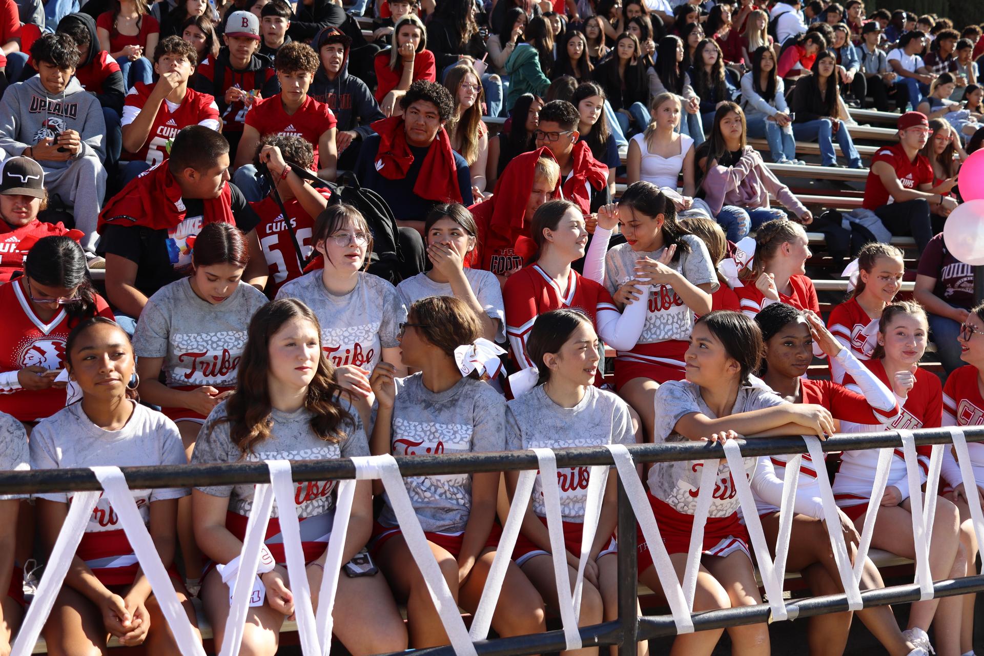 students and staff at the homecoming rally