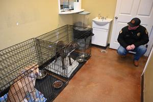 Sheriff Bryant “Wally” Jones and his Administrative Team recently toured PALS Animal Rescue