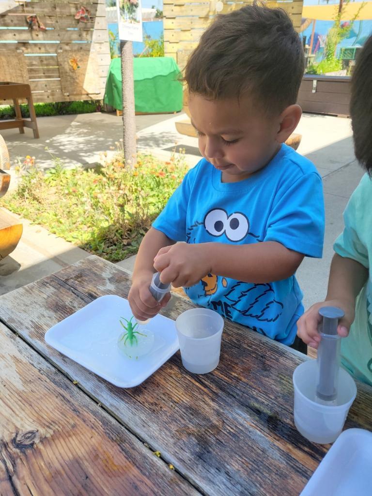 Insects Study – Curriculum – Jaime Escalante Early Education Center