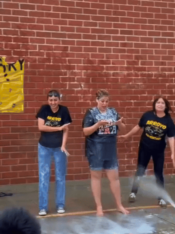 highlights of the day in animated gif