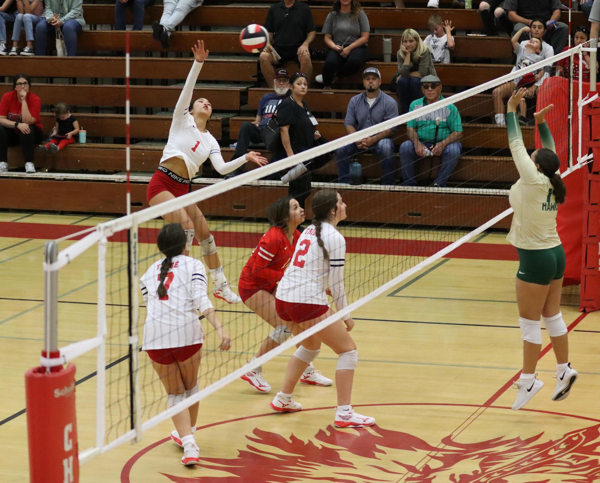 varsity volleyball players in action against liberty