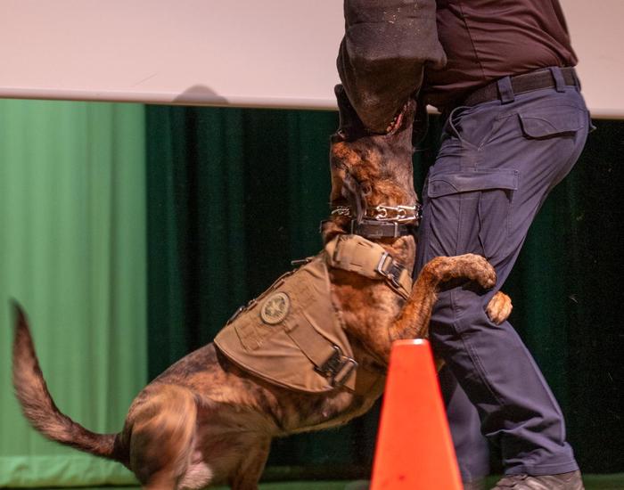 K-9 and Police Handler