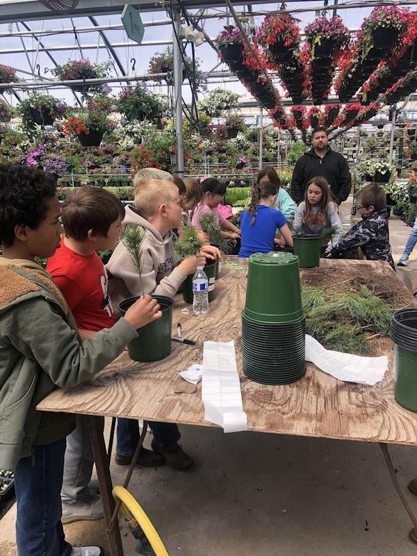 Students got to plan a White Pine tree to take home.