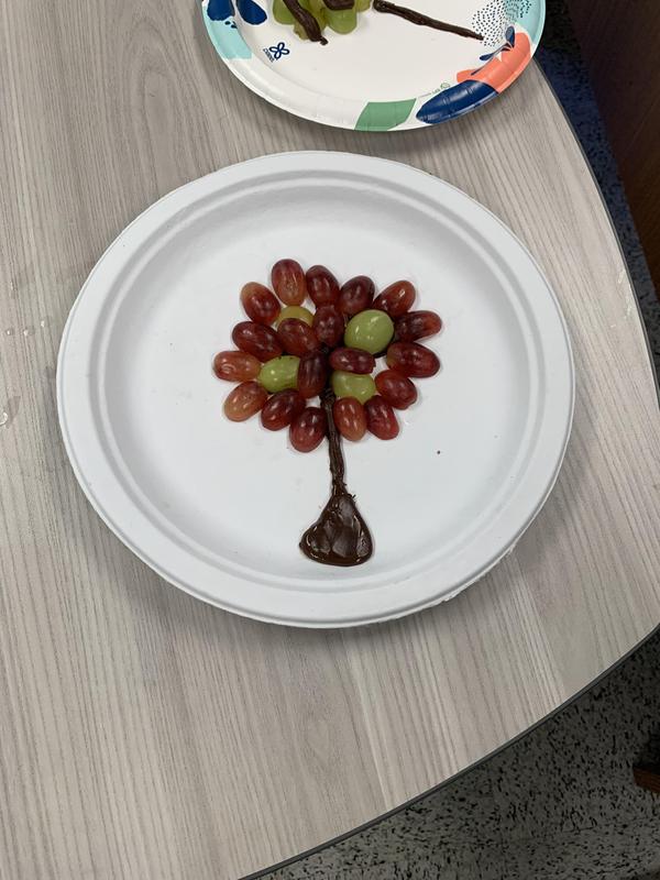 a chocolate tree