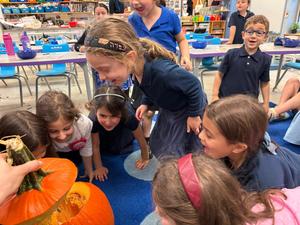 pumpkin