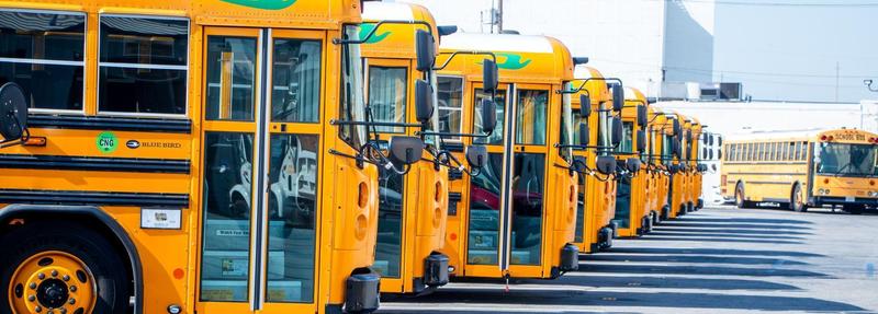 bus